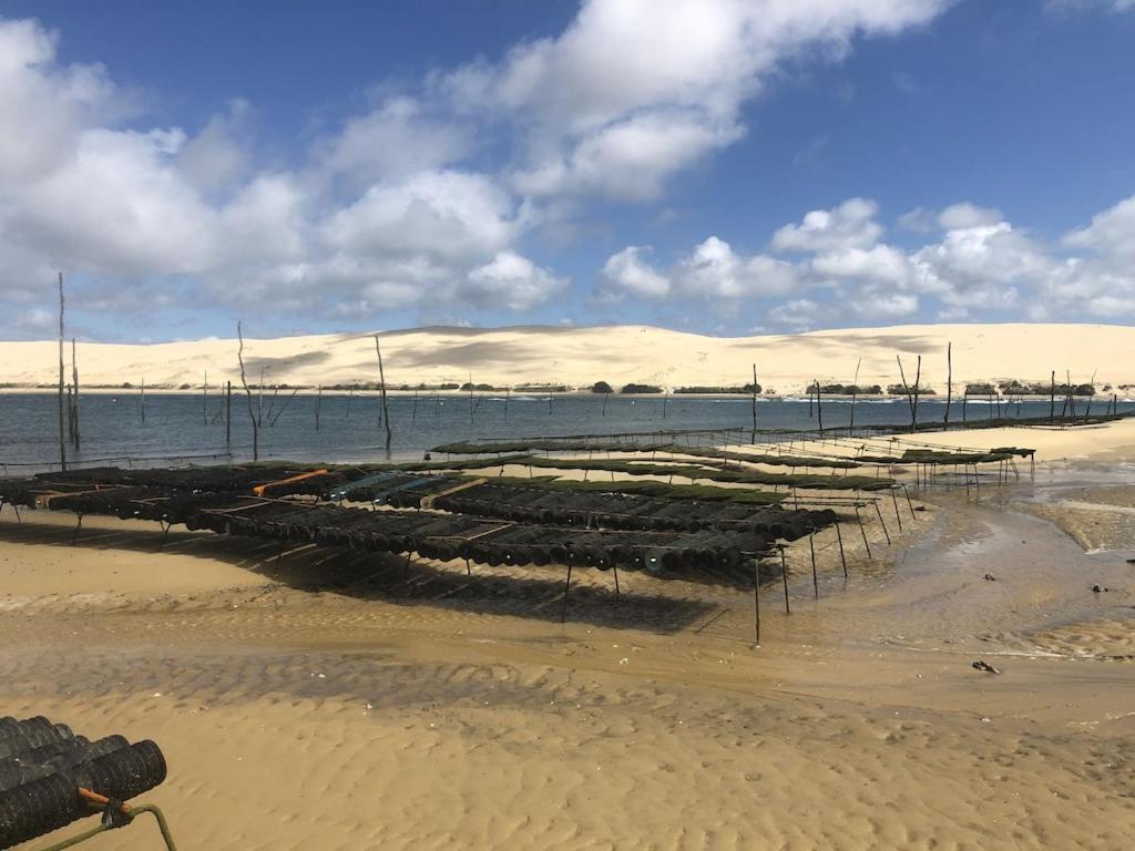 Ville Les Flots Bleus Proche Golf Arcachon La Teste-de-Buch Dış mekan fotoğraf